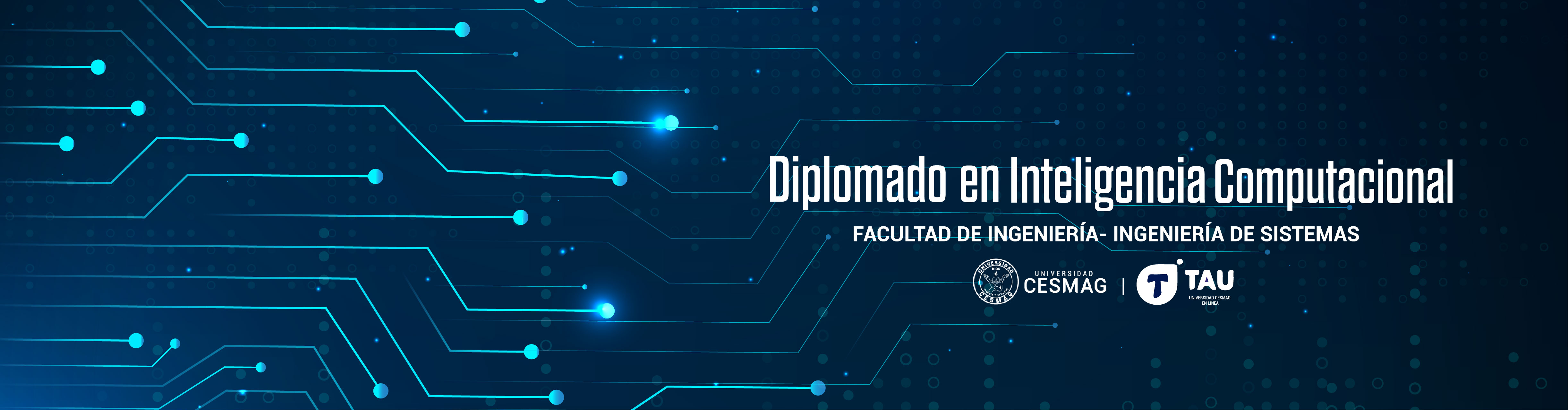 Diplomado en inteligencia computacional (C2)