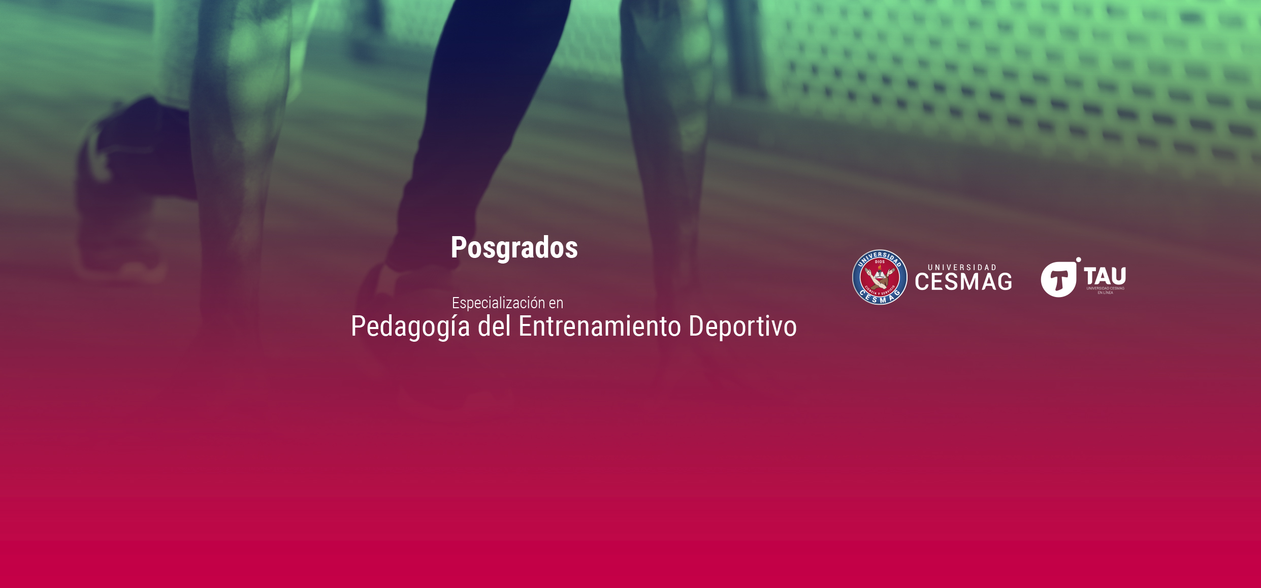 Electiva I (Grupo: 1-1-FS)