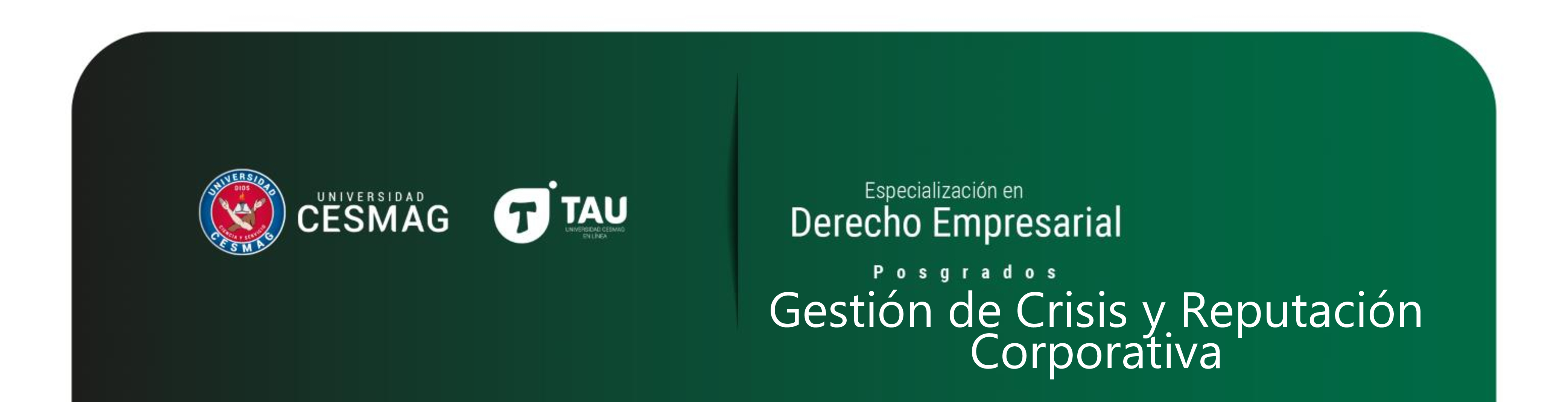 ELECTIVA I (Grupo: 1-1-FS)
