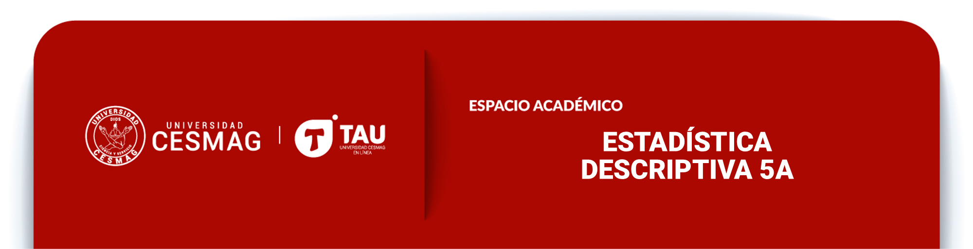 ESTADISTICA DESCRIPTIVA (Grupo: 8-A-M)