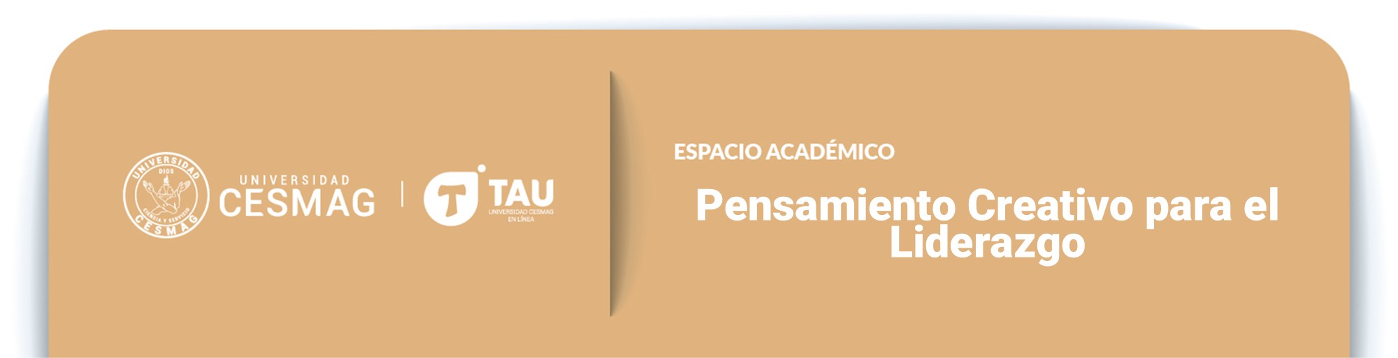 PENSAMIENTO CREATIVO PARA EL LIDERAZGO - CONTADURÍA PÚBLICA (7AM)